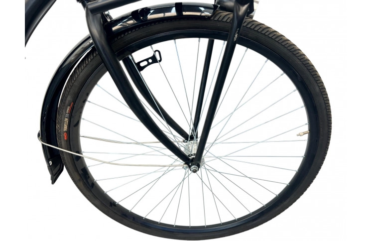 Woman's bicycle FaceBike Nl 28" S/51