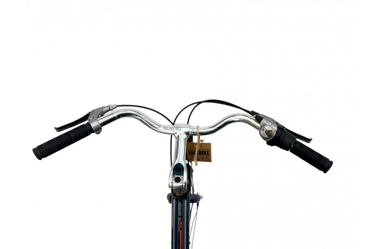 Woman's bicycle Giant Melbourne 28" 56cm