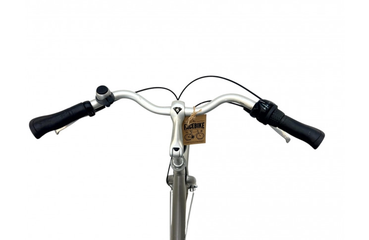 Woman's bicycle Giant D/al/grijs/28/stad/f51cm