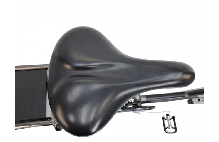 E-BIKE Vogue Infinity 28"/51cm/grijs-zwart/36V 11Ah 396Wh