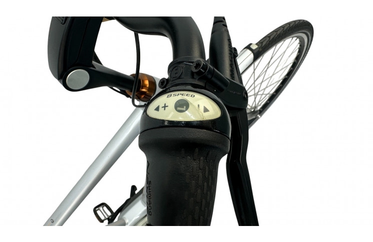 E-Bike Batavus Wayz 28"/53cm/grey/36V 14.5Ah 522Wh