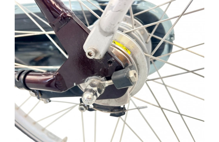 Herenfiets Sparta Campion Man 61 cm