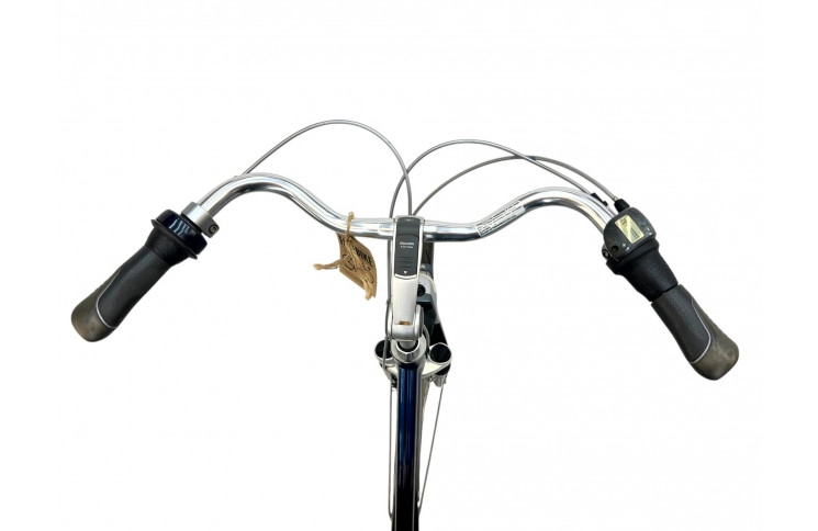 Woman's bicycle Gazelle Davos w/al/blue/28/sity/f50cm