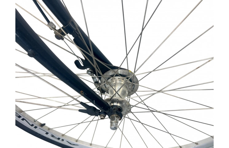 Man's bicycle Giant Freerloer 28" 60