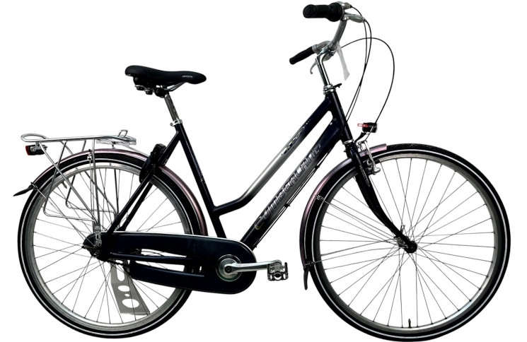 Woman's bicycle Cumberland XTC 28"/56cm/Blue-gray