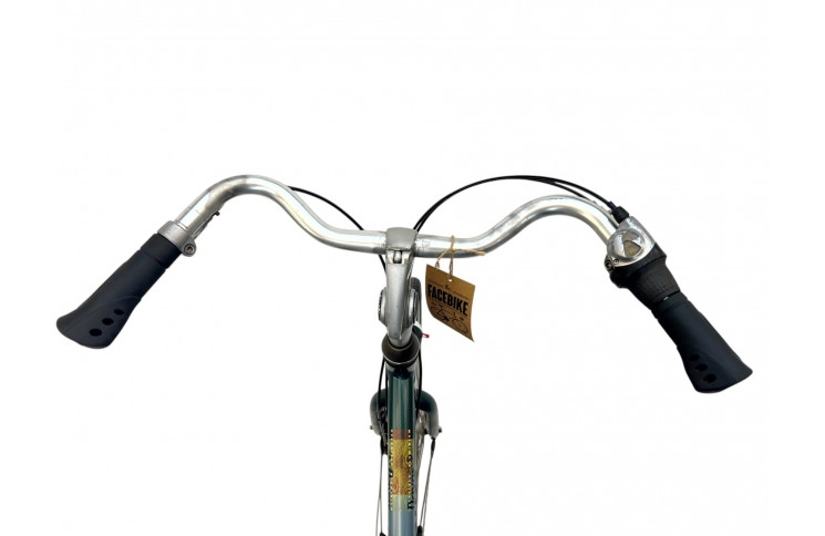 Women's bike Gazelle Davos 28" L/54 green