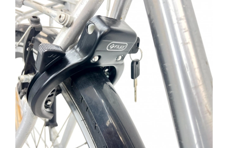 Woman's bicycle Intersens TS 401 28" 50