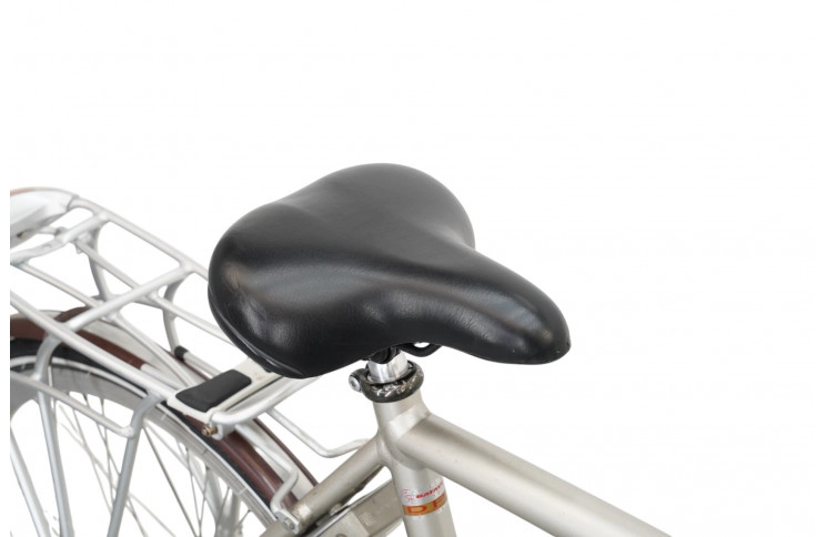 Man's bicycle Batavus Vivente 28"/57cm/gray