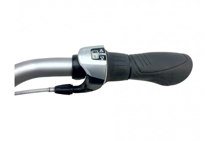 Woman's bicycle Batavus Rumba 28"/57cm/Green