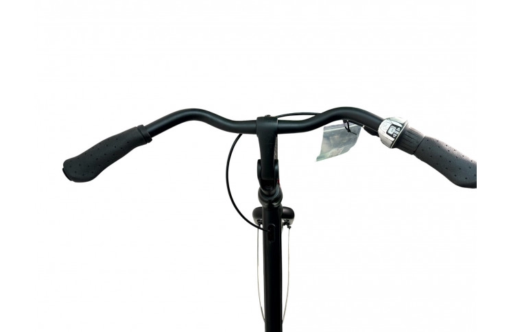 Woman's bicycle Batavus Fonk 28"/54cm/black