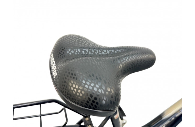 Women's bicycle Batavus Live 28" 58cm bronze-blue