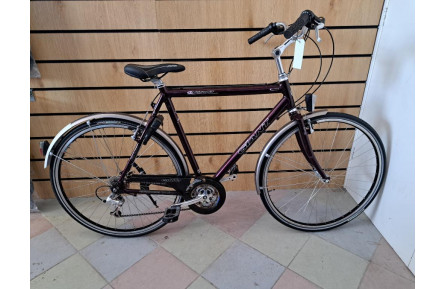 Sporty man's bicycle Giant Cabriolet