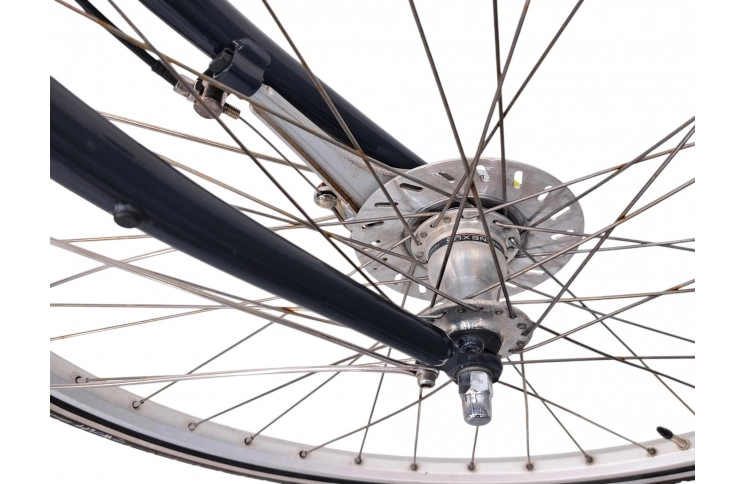 Man's bicycle Giant Freerider 28"/54cm/blue