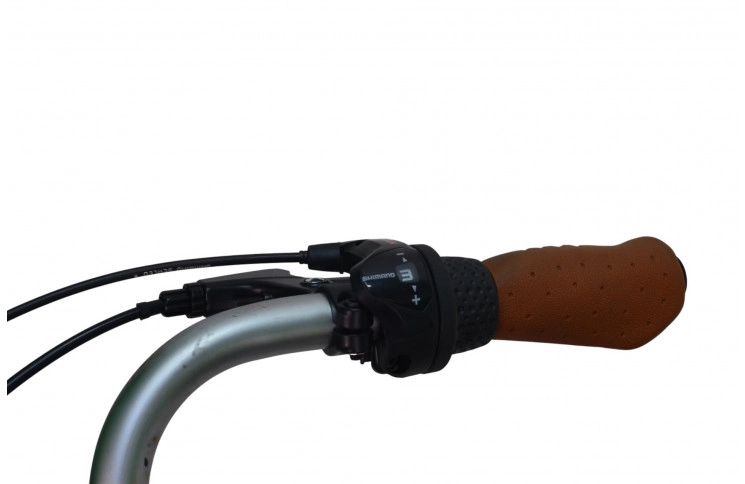 Man's bicycle Batavus Live 28"/54cm/Blue