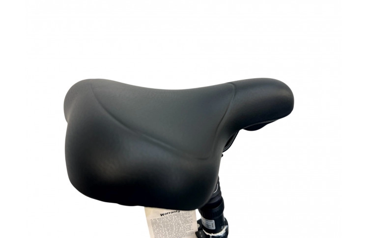 E-Bike VanDijck Ceto, 36V 18.2Ah 655Wh, 56 sm, blue