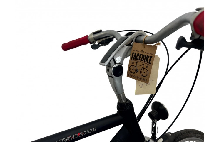 Herenfiets Batavus Tricolore 28" 57