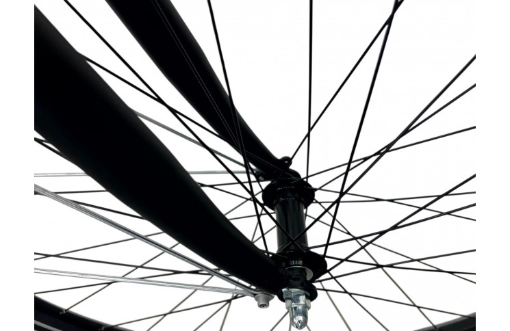 Damesfiets Altec Verona 28inch 56cm 7s Mat Zwart