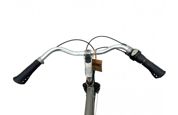 Men's bicycle Batavus Mambo 28" 65 cm gray