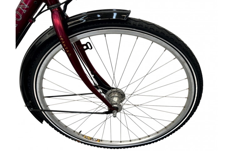 Herenfiets Marathon Ithaka 28" 58