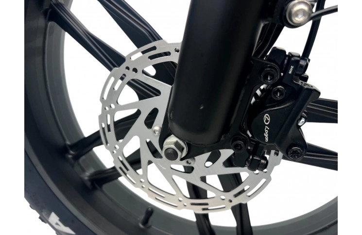 DIABLO E-BIKE, E-ONE, MATT-GREEN, 1000819 ACCU 15AH 48V 720WH