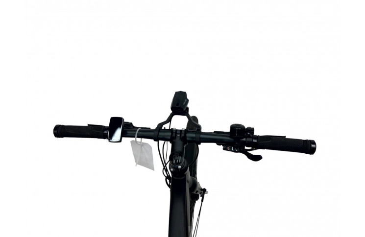 E-Bike 28" Prophete Urbanicer City, 55 cm