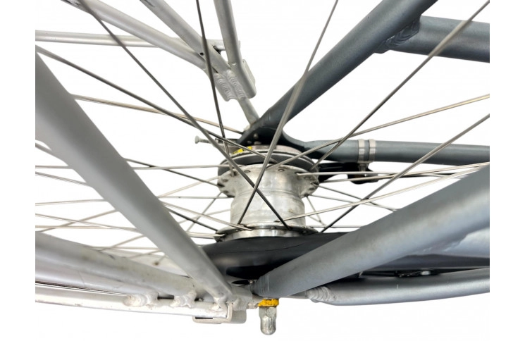 Women's bicycle Batavus Boston 28" 53 gray