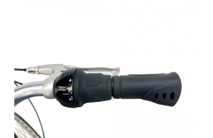 Women's bicycle Batavus Boston 28" 53 gray