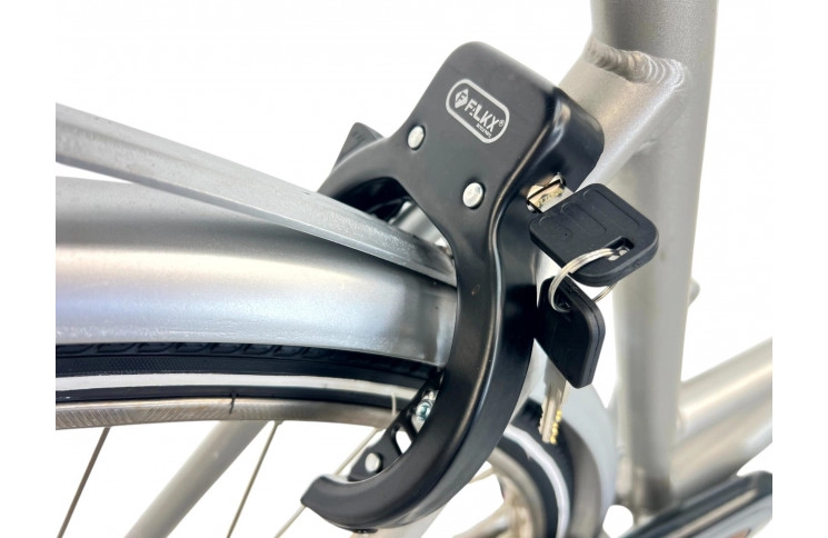 Woman's bicycle Giant D/al/grijs/28/stad/f51cm