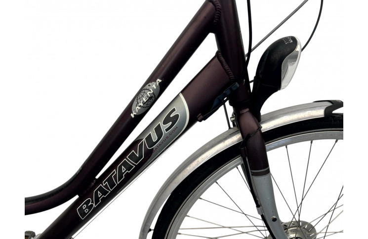 Woman's bicycle Batavus Kayenta 28" 49"