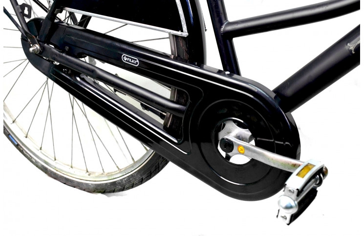 Woman`s Hollandia Student