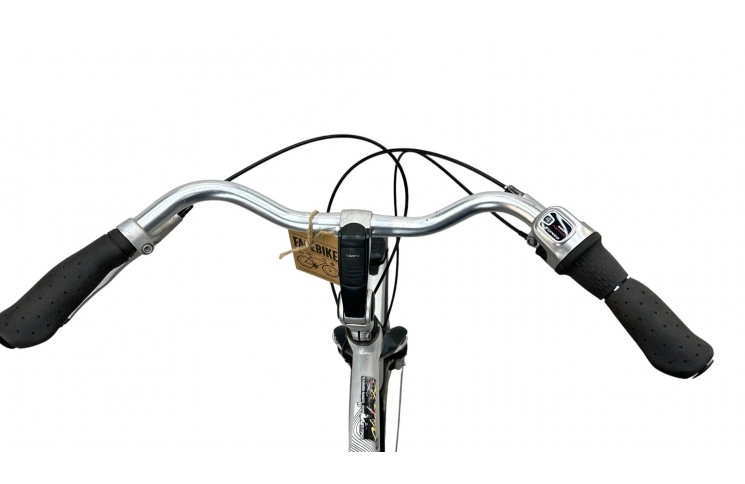 Man's bicycle Gazelle Orange 28"/61cm/Gray