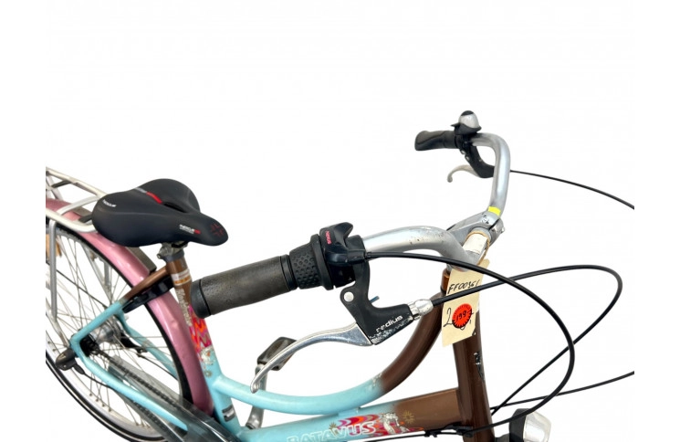 Woman's bicycle Batavus Blockbuster 28" 51