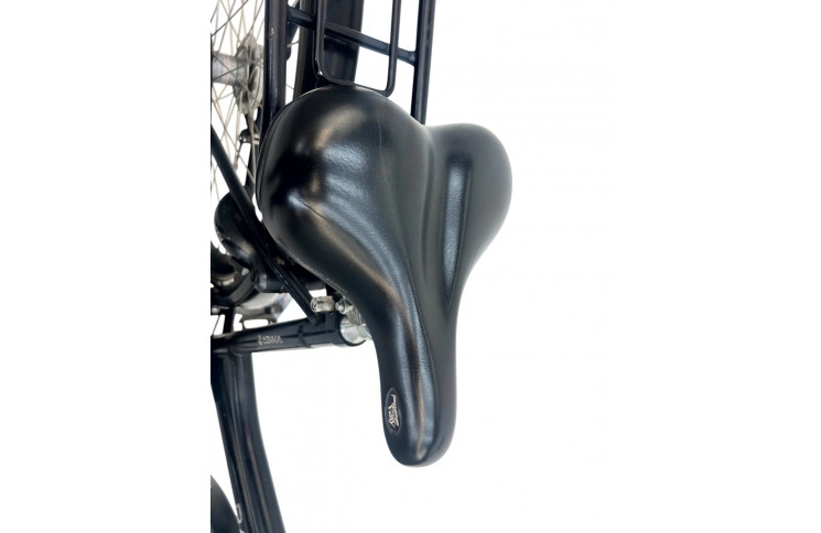 Woman's bicycle Batavus Winner w/al/sity/28/black/f49