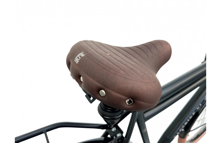 Herenfiets Facebike NL 29" L/58 zwart matt BS180804752