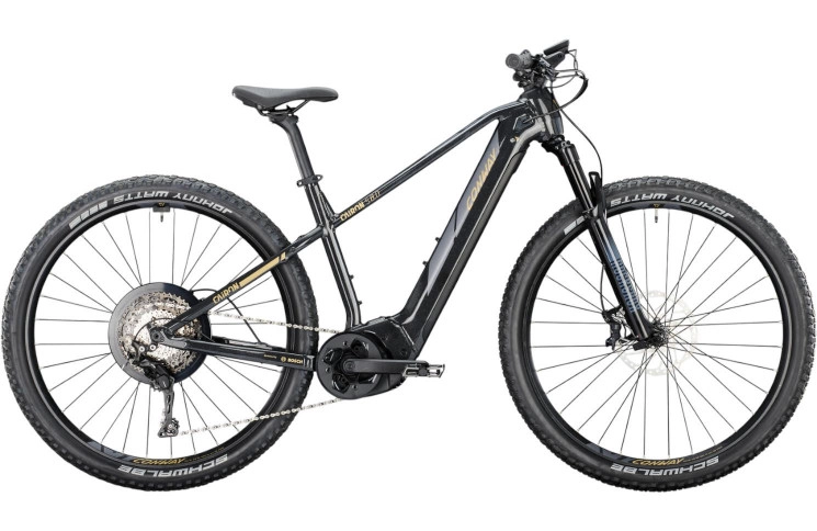 CONWAY Elektrische MTB Hardtail Cairon S 8.0 29"/41cm-S/11/zwart metallic - goud mat/02895050