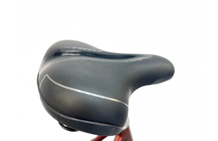 Woman's bicycle Gazelle Chamonix 28" 57cm