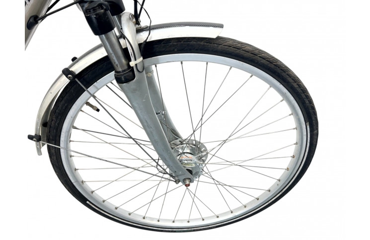 Women's bicycle Rambler 28" M/50 grey-beige