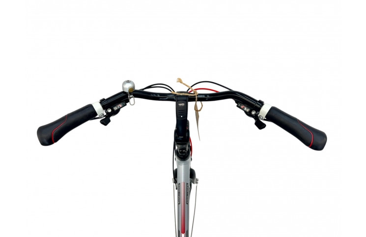 Damesfiets Gazelle Eclipse Trecking w/al/sity/silver/28/f53