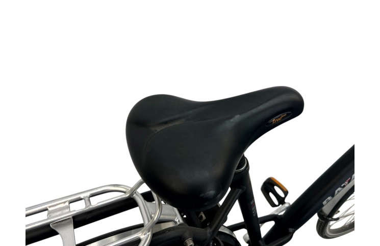 Woman's bicycle Batavus Mambo 28" 54