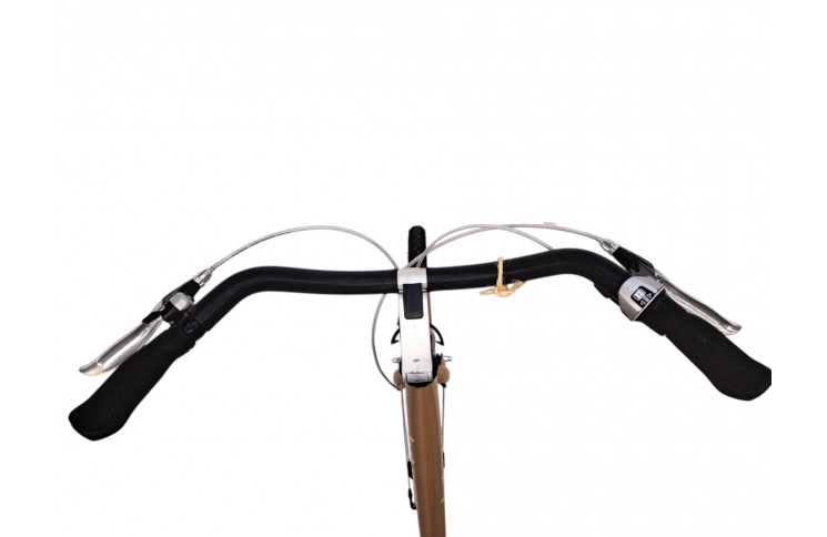 Woman's bicycle Batavus Mambo 28"/53cm/gold