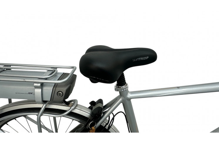 E-Bike Batavus Wayz 28"/53cm/grey/36V 14.5Ah 522Wh