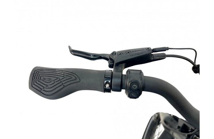 E-BIKE VOGUE WONDER 20"/matt-zwart/2 accu 9.6AH,12.8AH