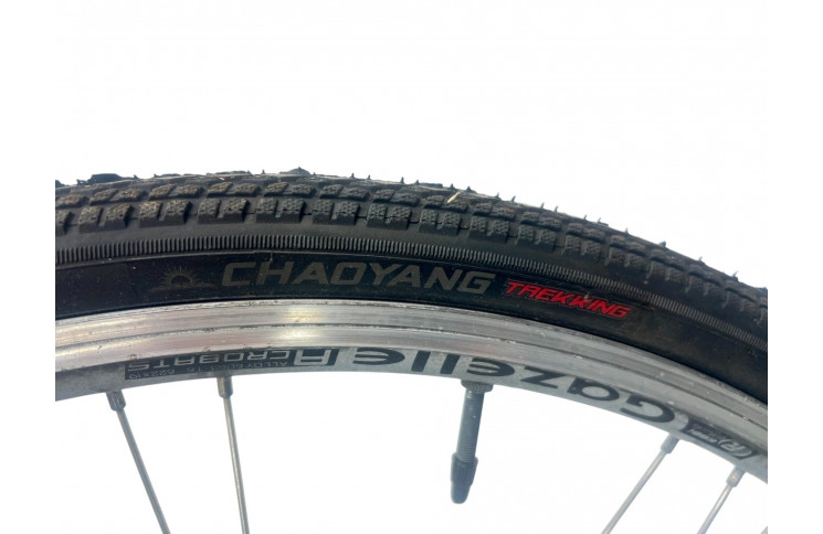 Woman's bicycle Gazelle Medeo 28" 53