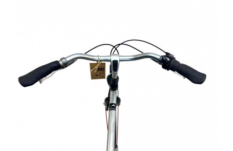 Man's bicycle Gazelle Swing 28"/61cm/gray