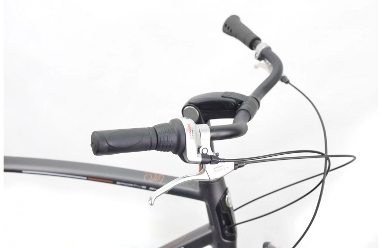 Men's bicycle Batavus San Remo 28" 56 black