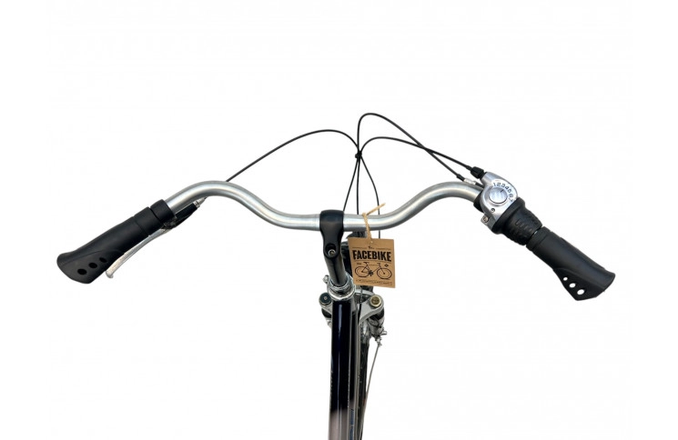 Damesfiets Mercury Limited Edition 28" 50 grijs-blauw