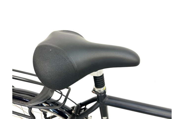 Man's bicycle Gazelle Esprit 28" XL/61