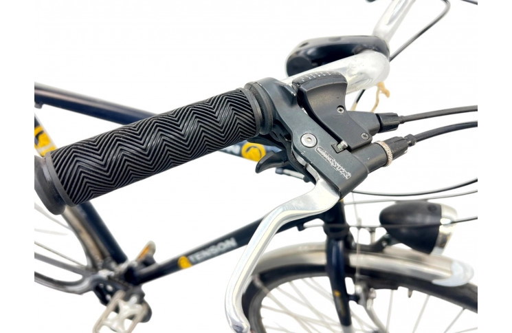 Man's bicycle Batavus Tenson 28" 60