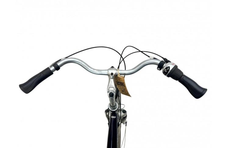 Women's bicycle Sparta Pallas 28" 55 cm grey/blue