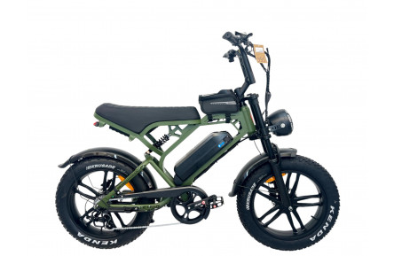 DIABLO E-BIKE, E-ONE, MATT-GREEN, 1000819 ACCU 15AH 48V 720WH